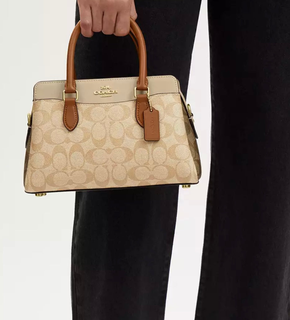Mini Darcie Carryall Bag In Blocked Signature Canvas