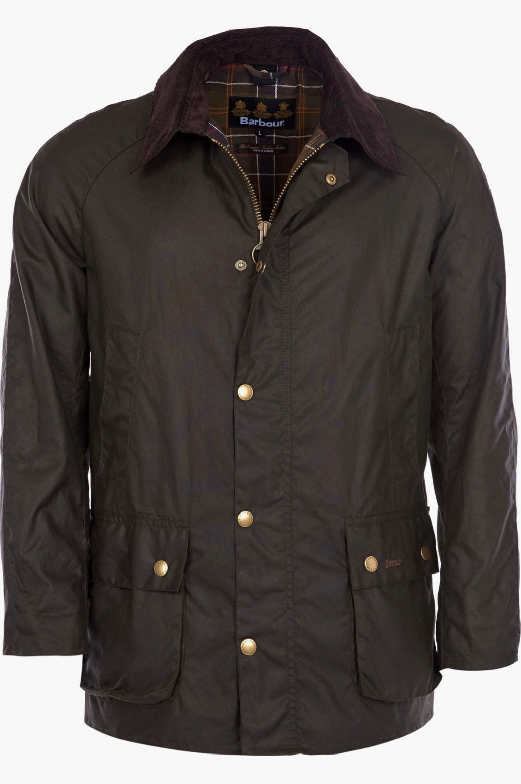 Men Ashby waxed Jacket /Olive color