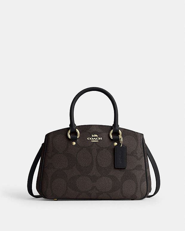 Savannah Small Carryall Bag