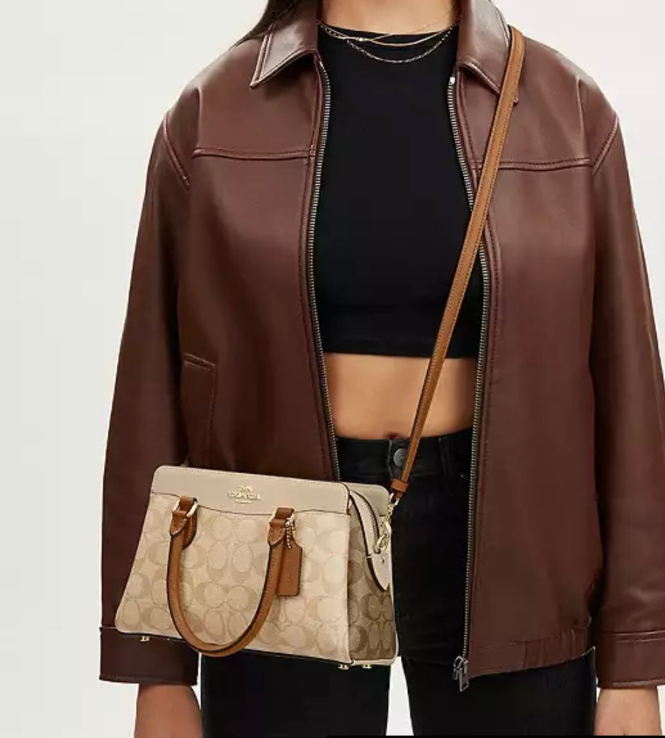 Mini Darcie Carryall Bag In Blocked Signature Canvas