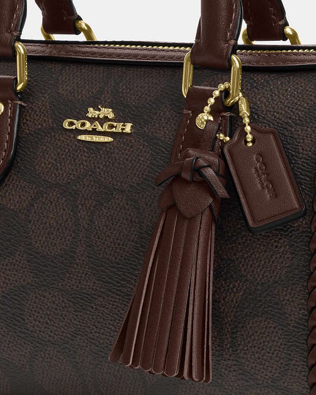 Mini Rowan Crossbody Bag In Signature Canvas