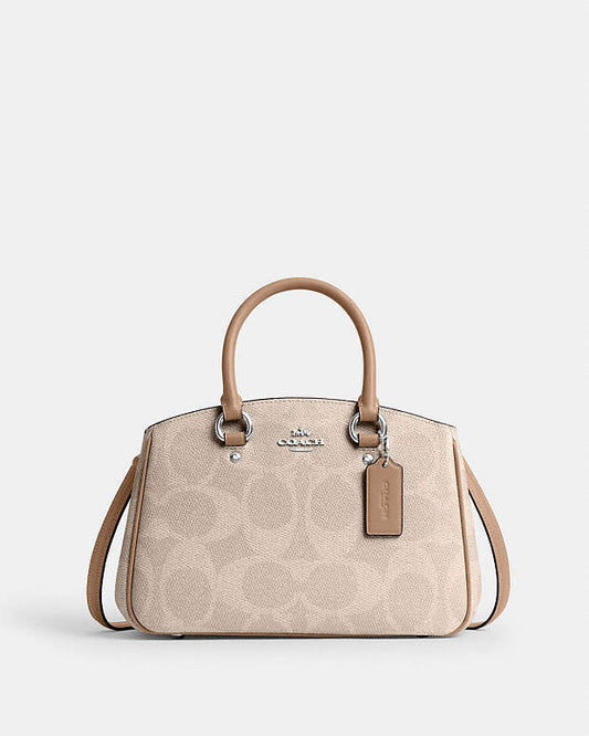 Savannah Small Carryall Bag