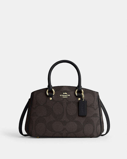 Savannah Small Carryall Bag