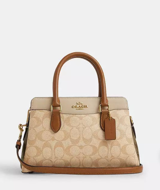 Mini Darcie Carryall Bag In Blocked Signature Canvas